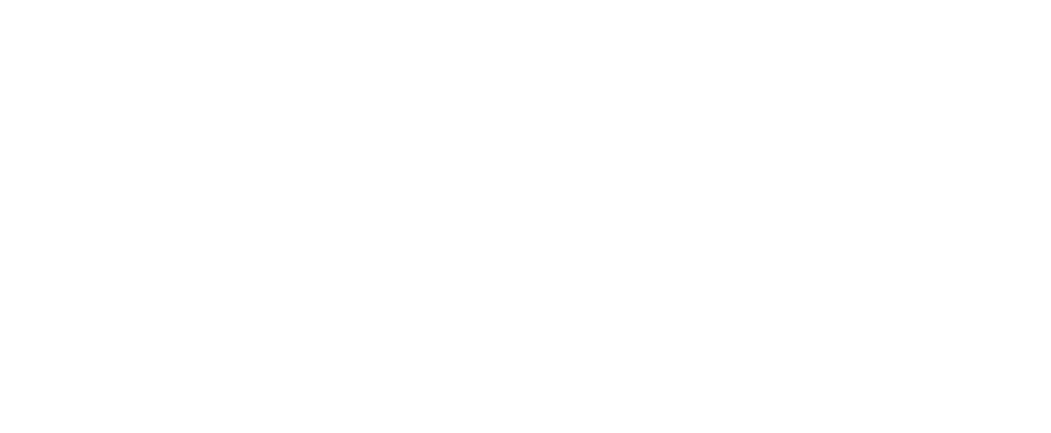 Logo in weiss