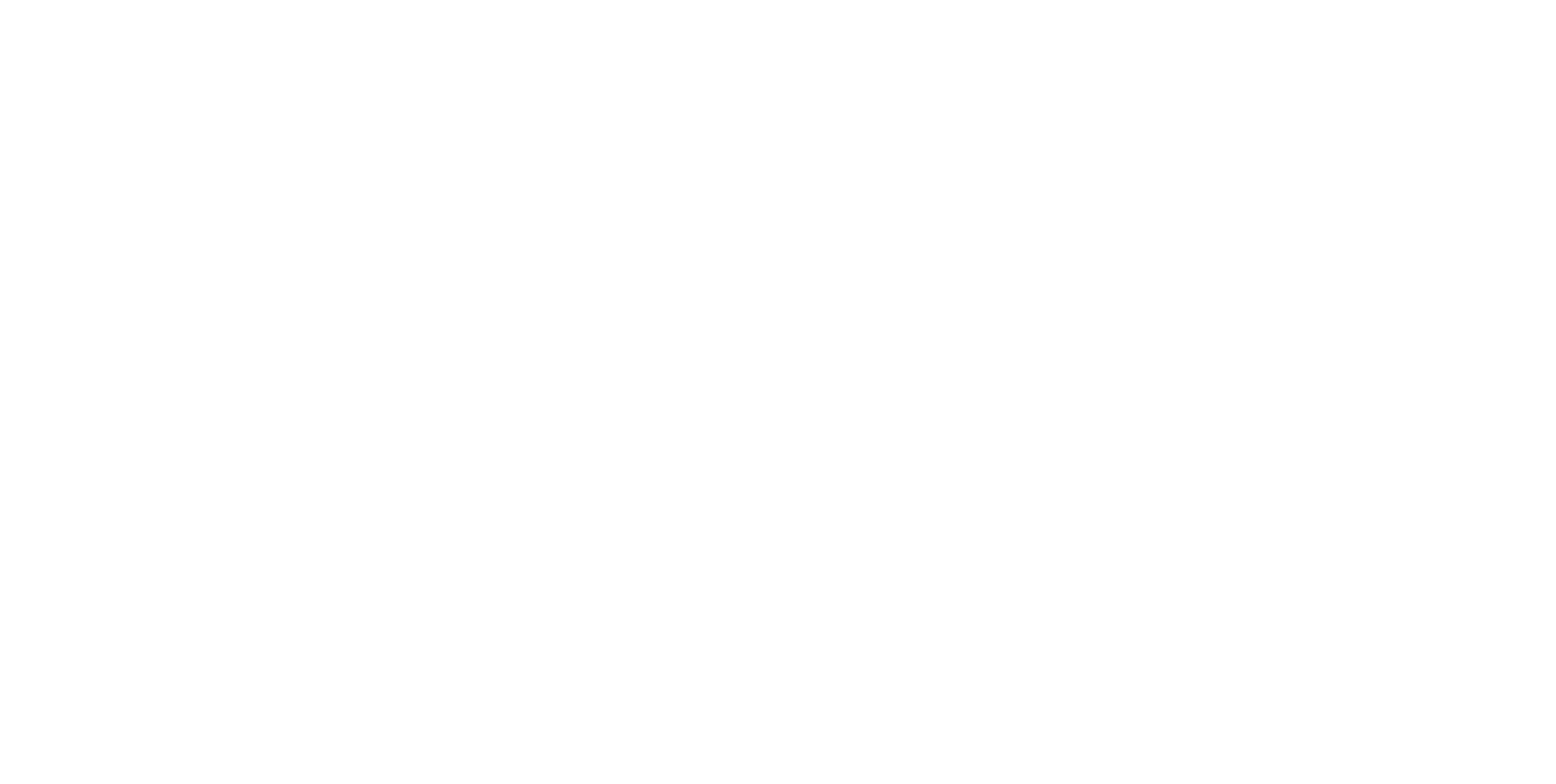Logo in weiss